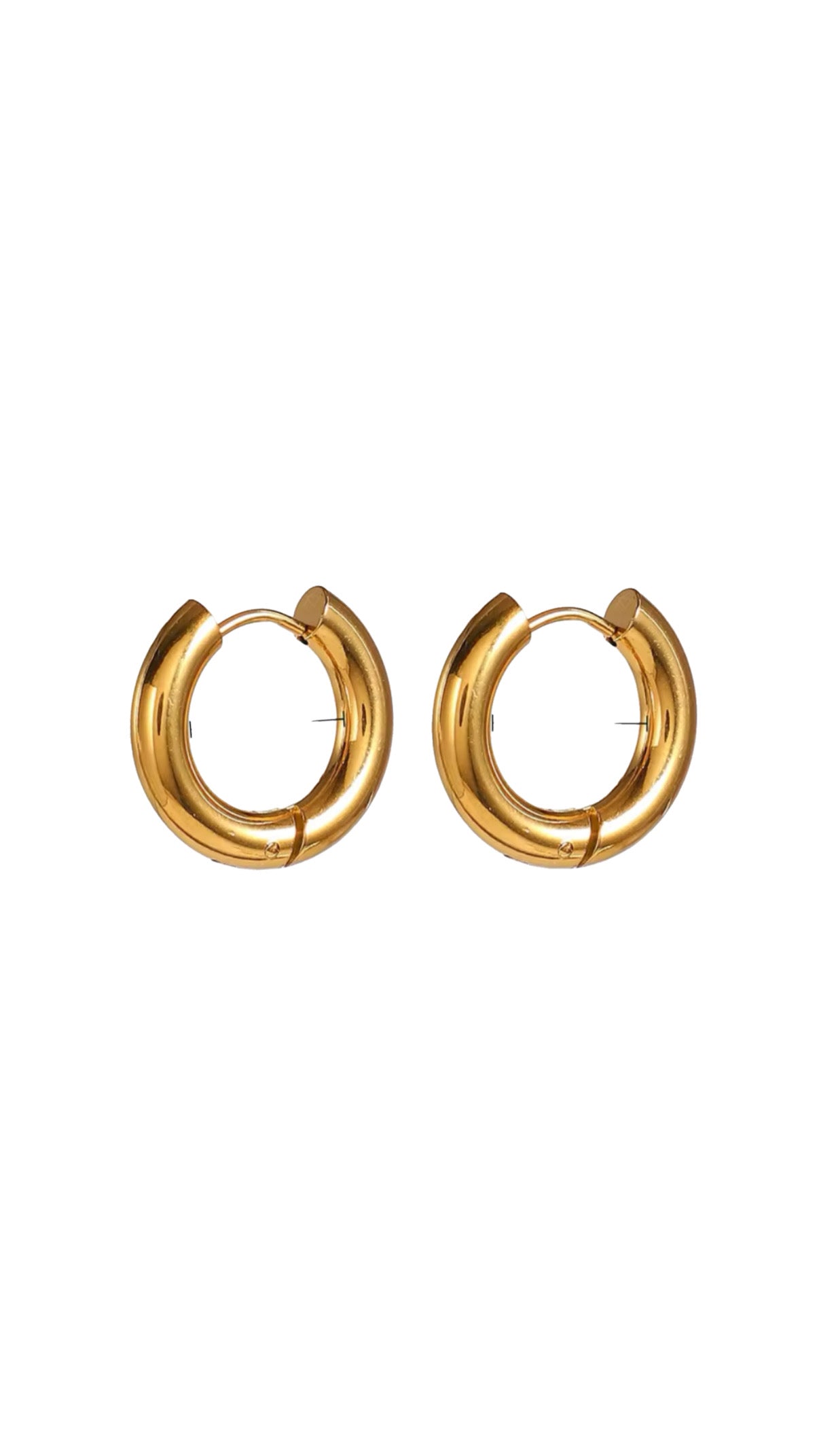 Small Hoop Earring