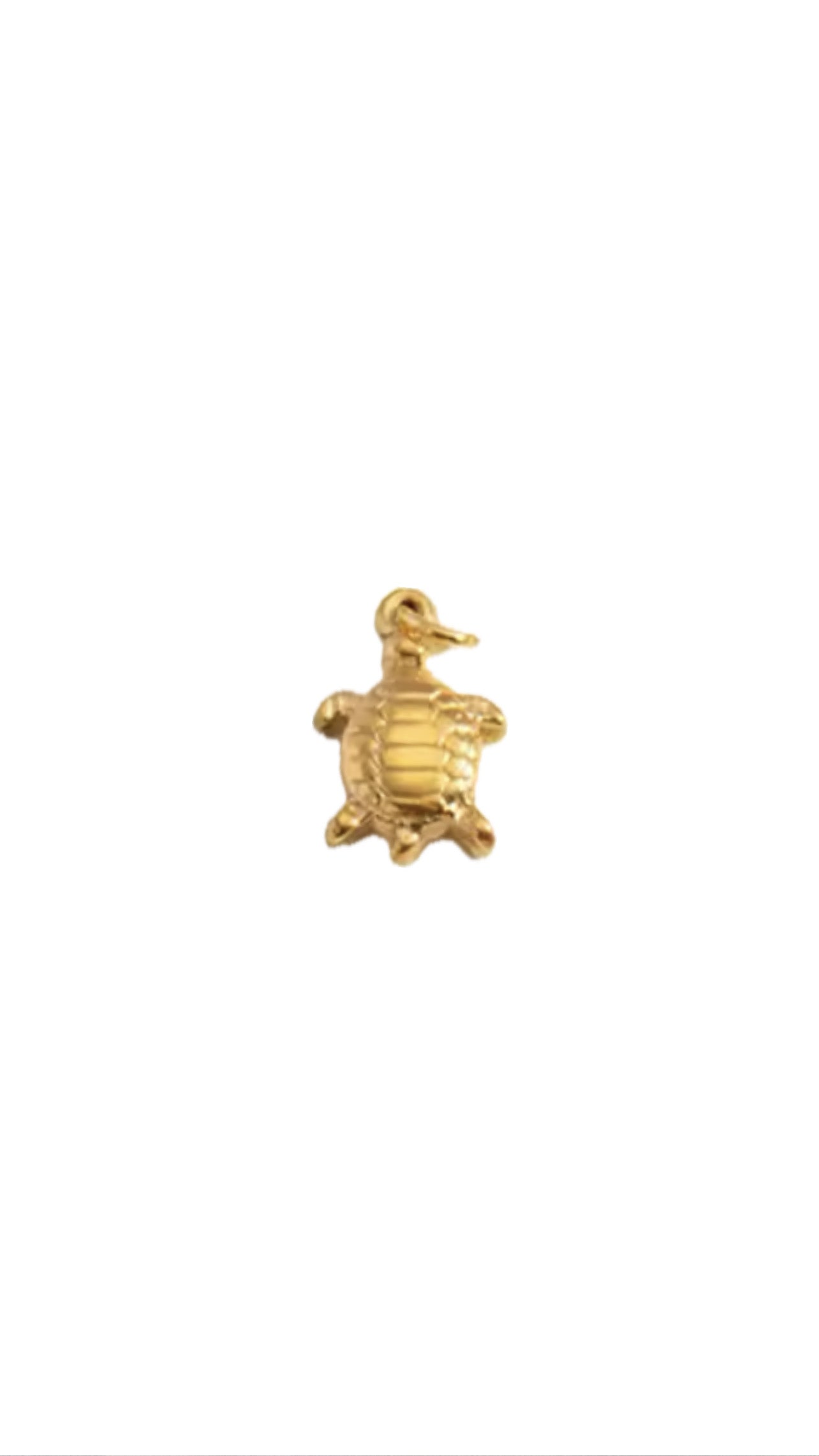 Turtle Charm