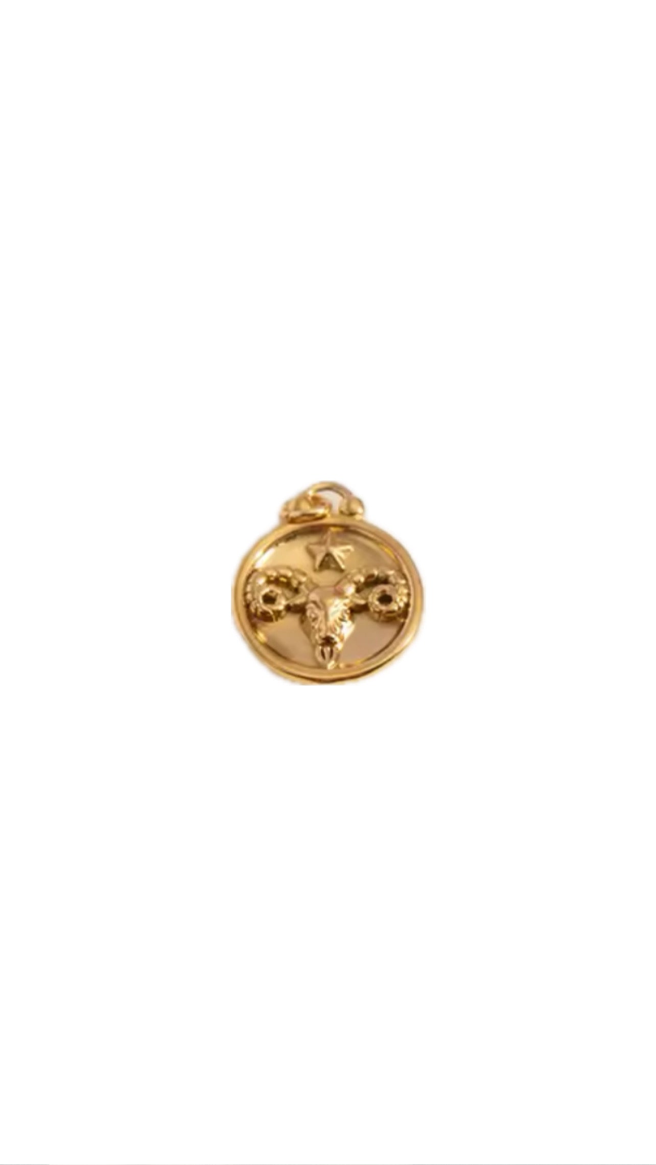 Zodiac Charm