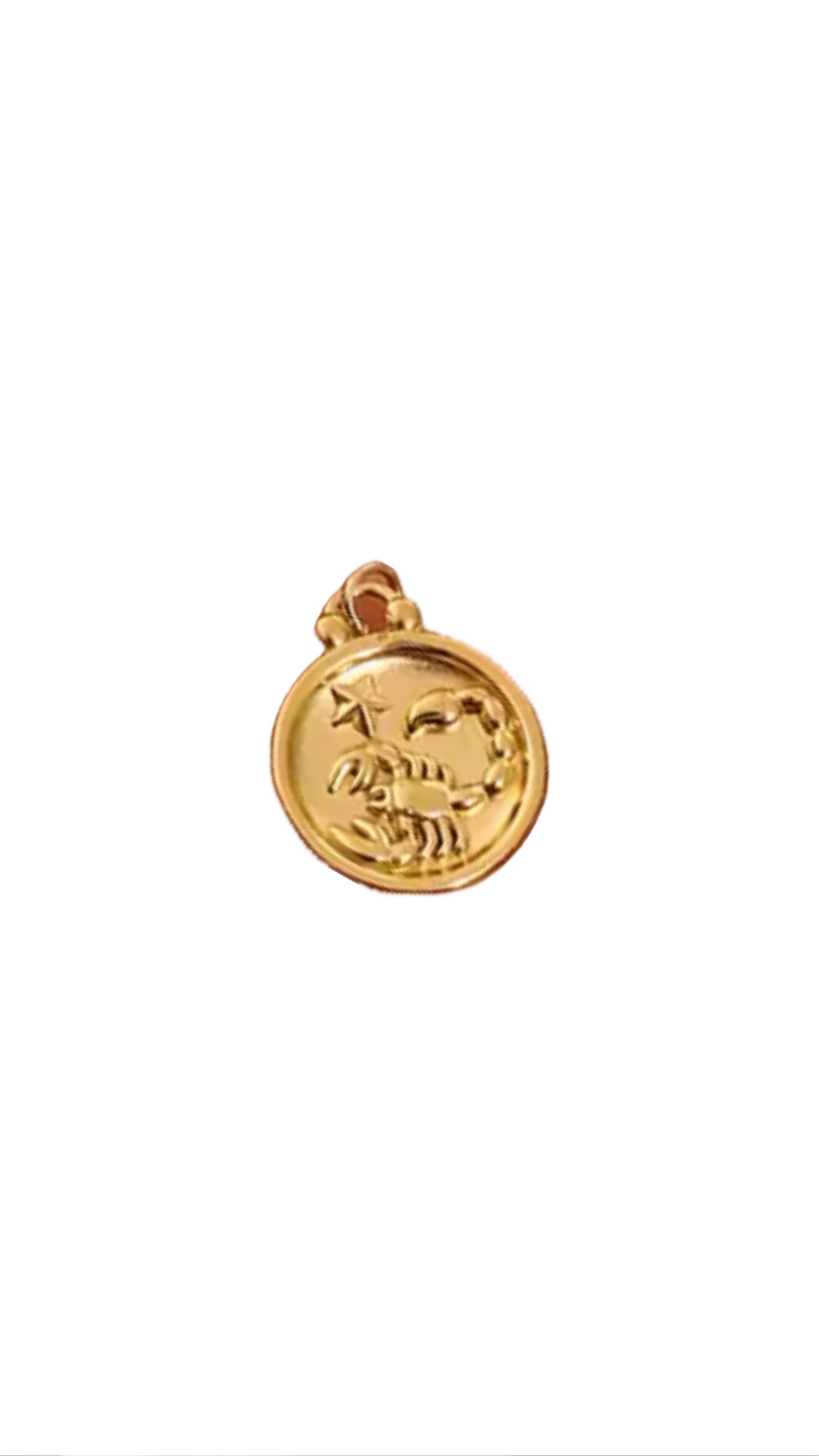 Zodiac Charm