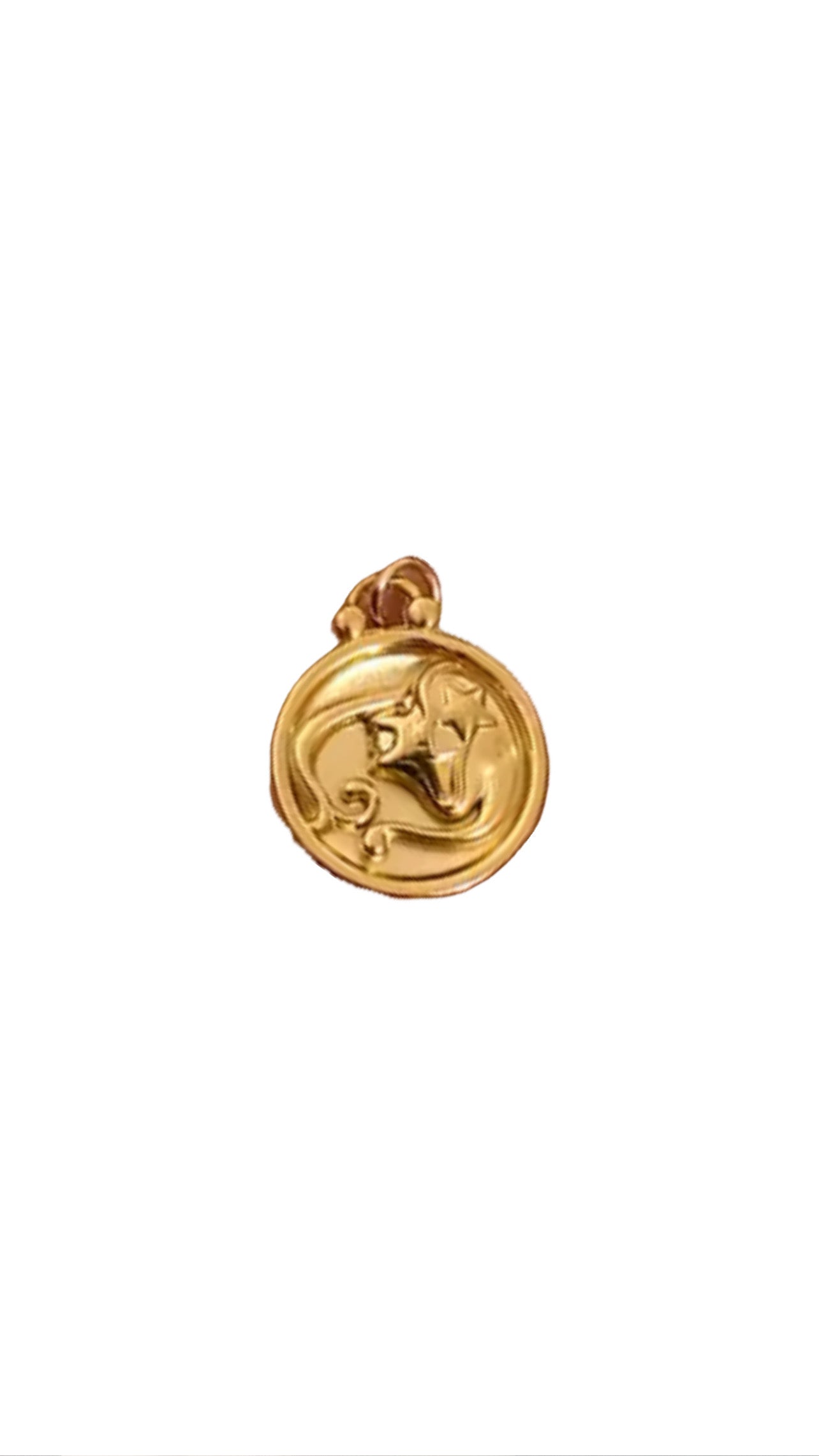 Zodiac Charm