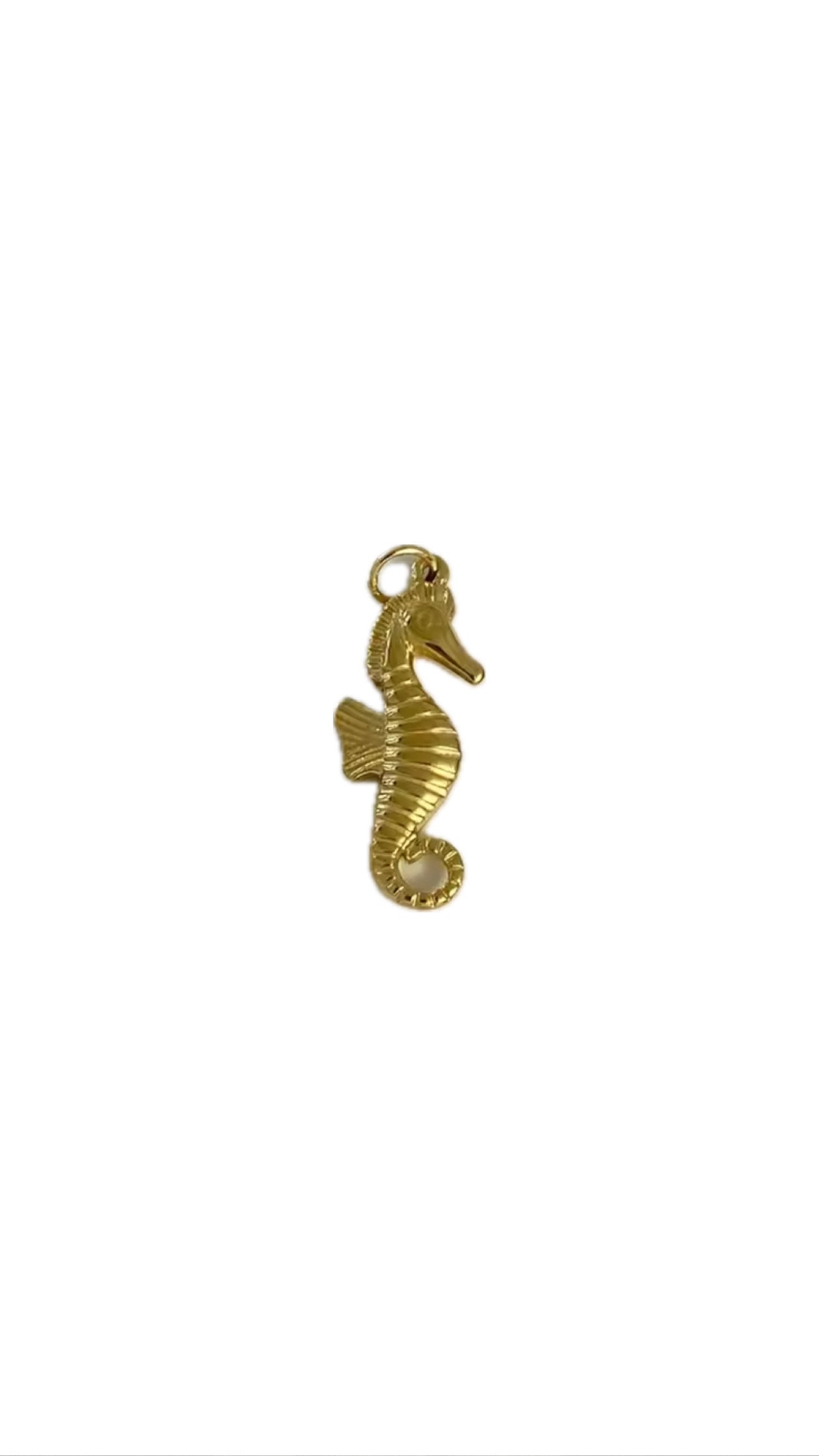 Seahorse Charm