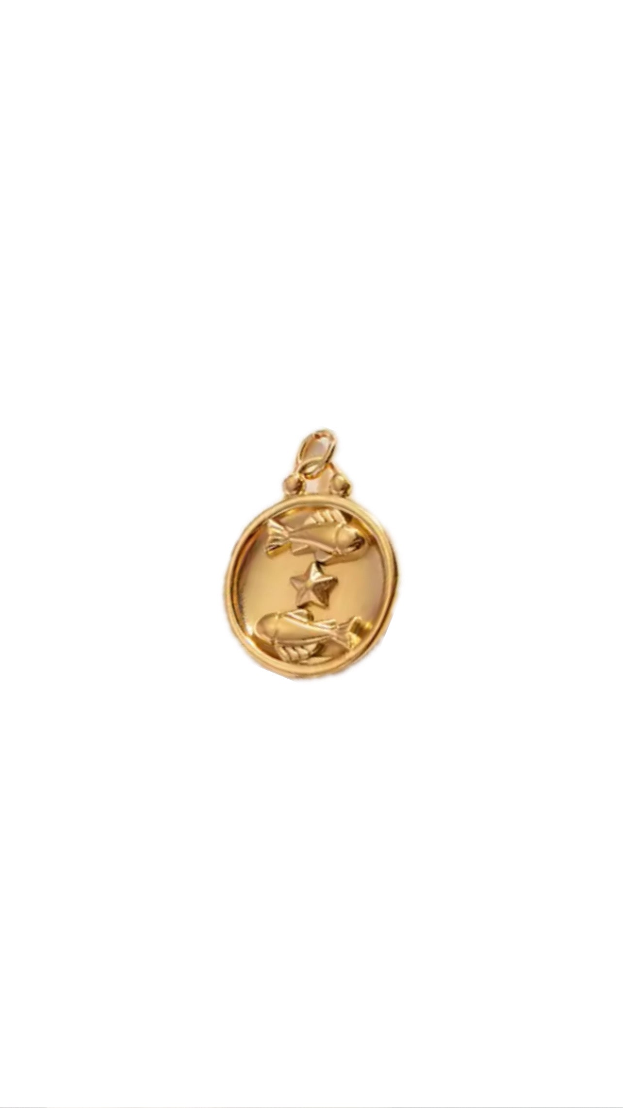 Zodiac Charm