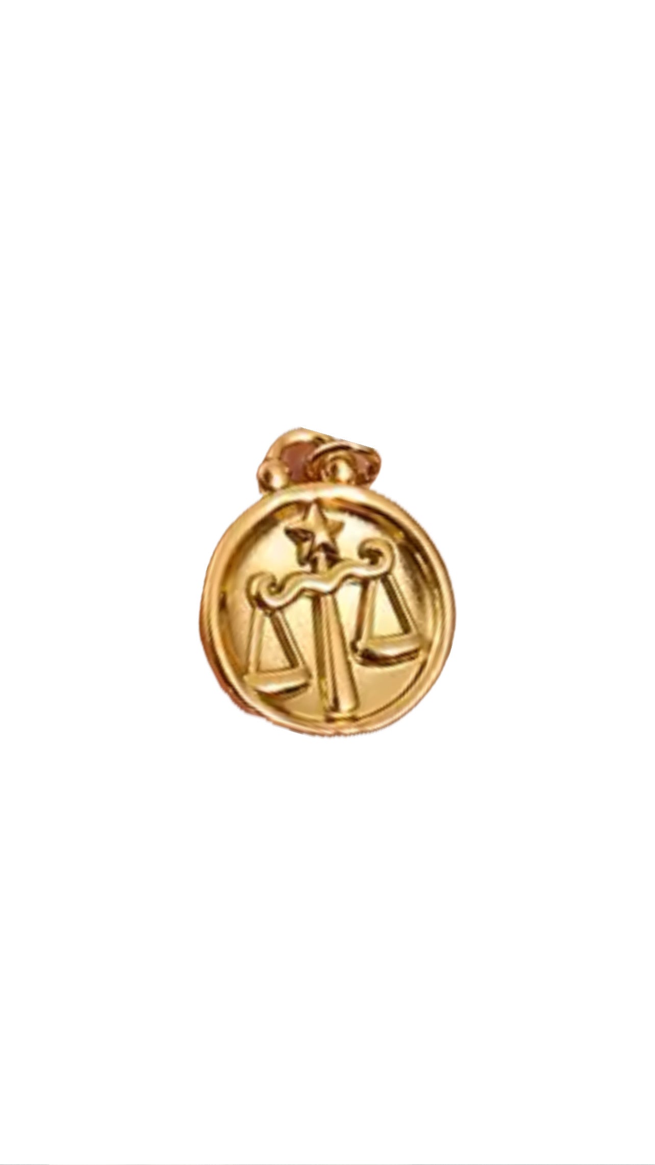 Zodiac Charm