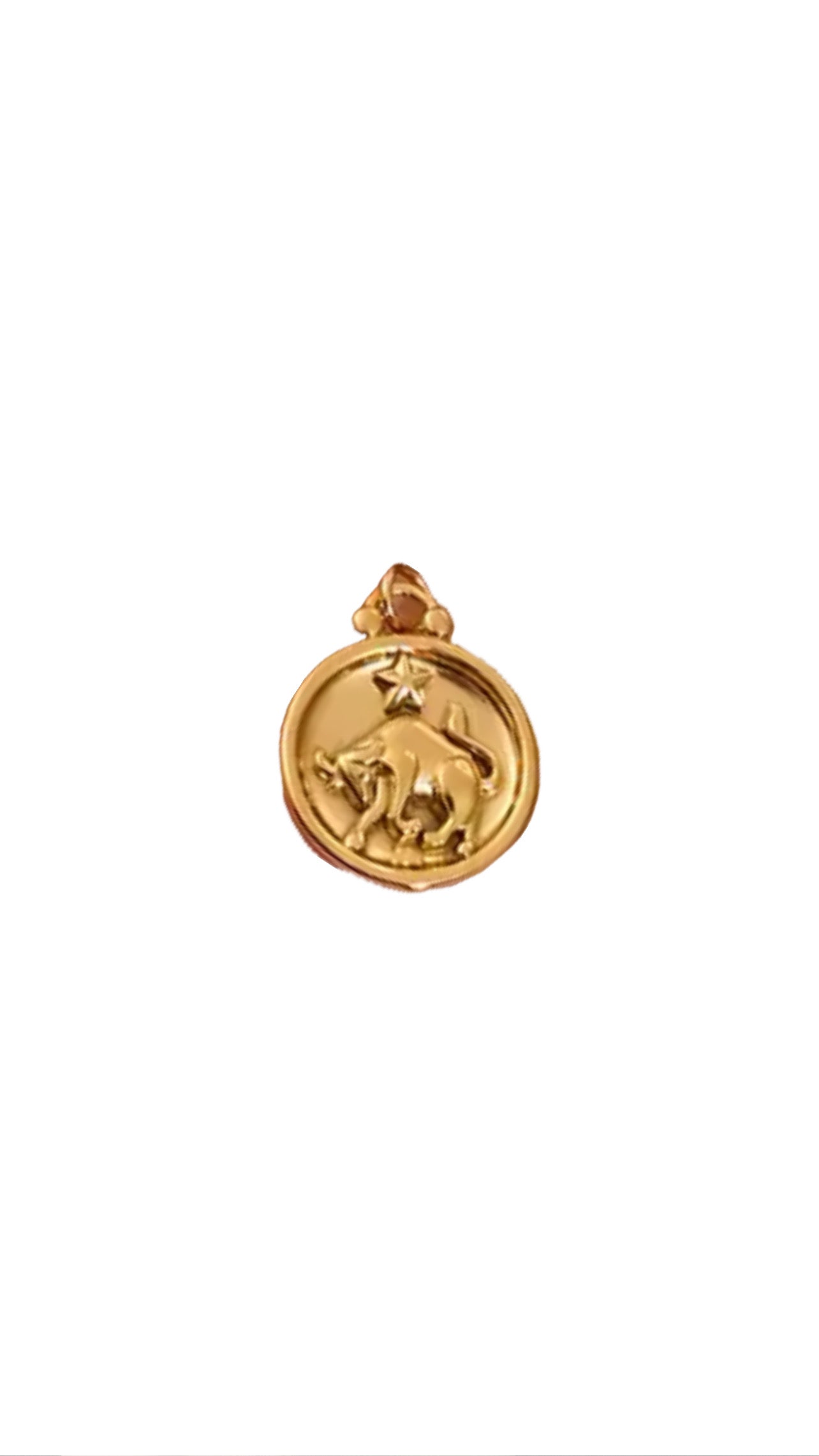 Zodiac Charm