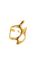 Galaxy Ring