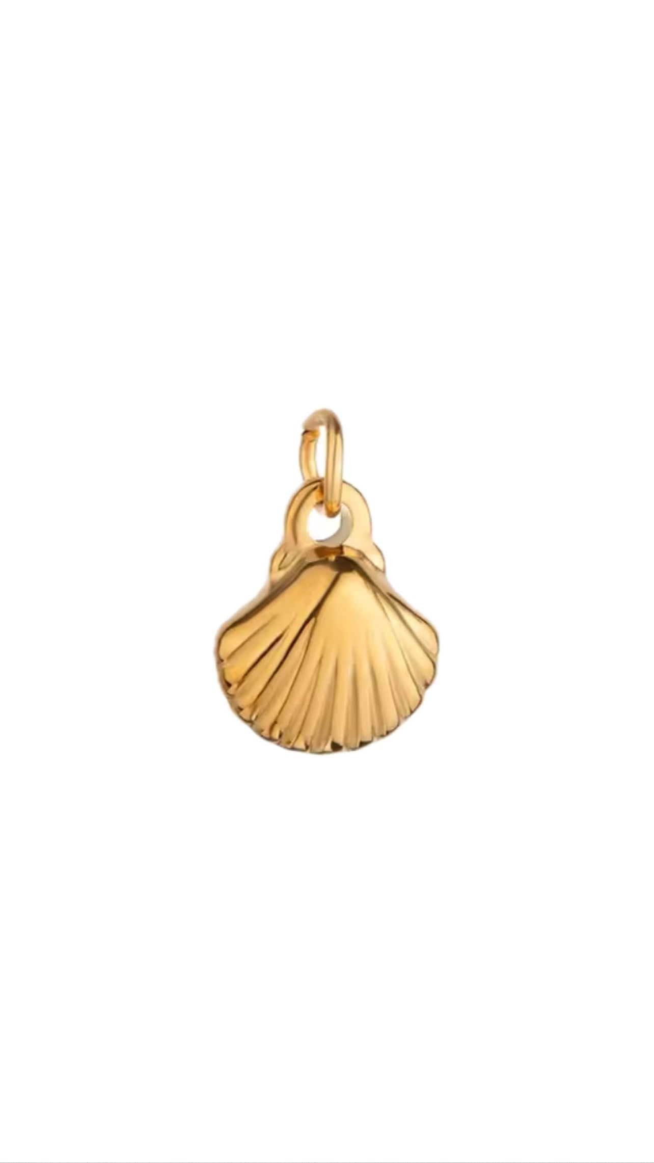 Seashell Charm