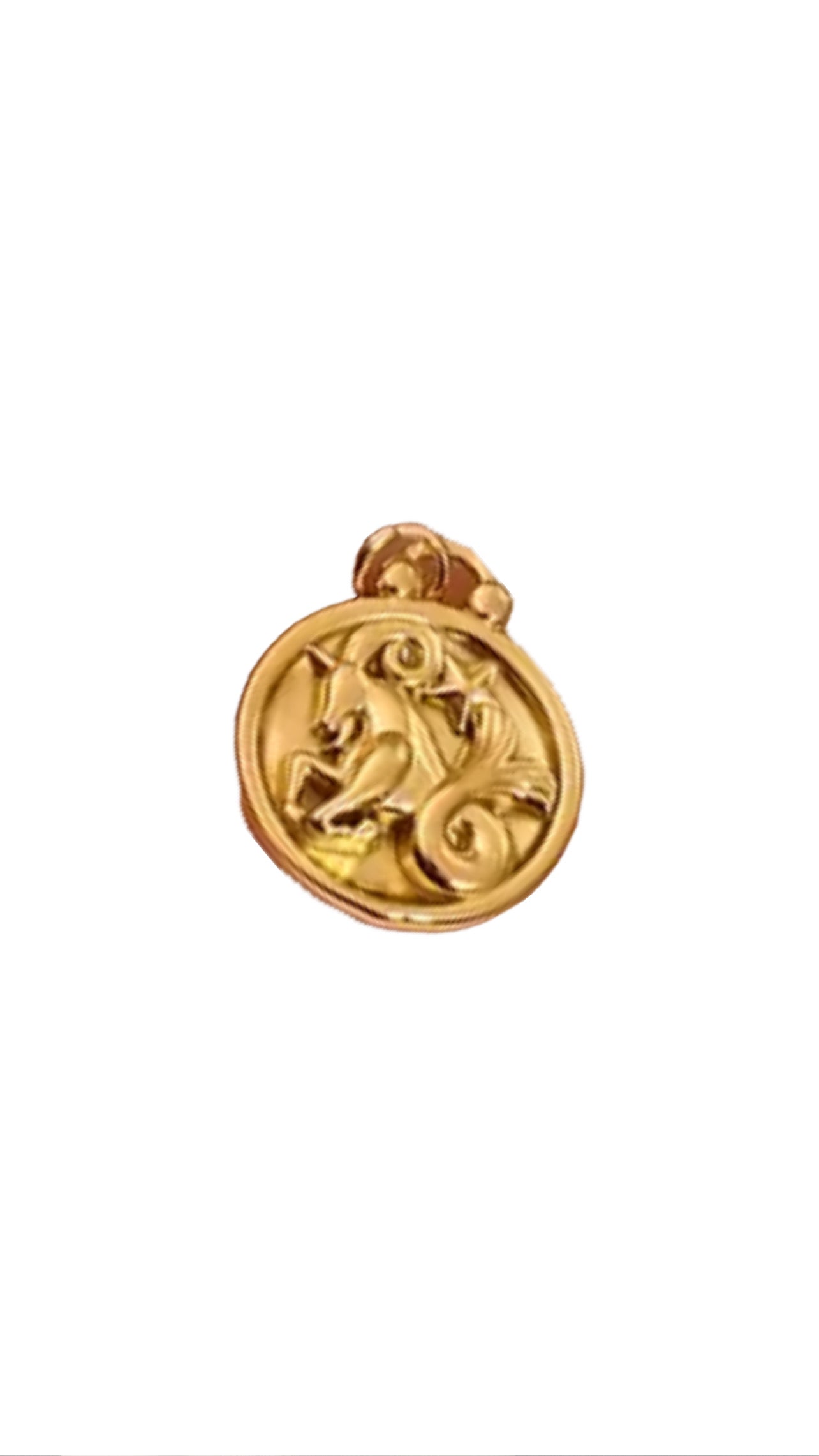 Zodiac Charm