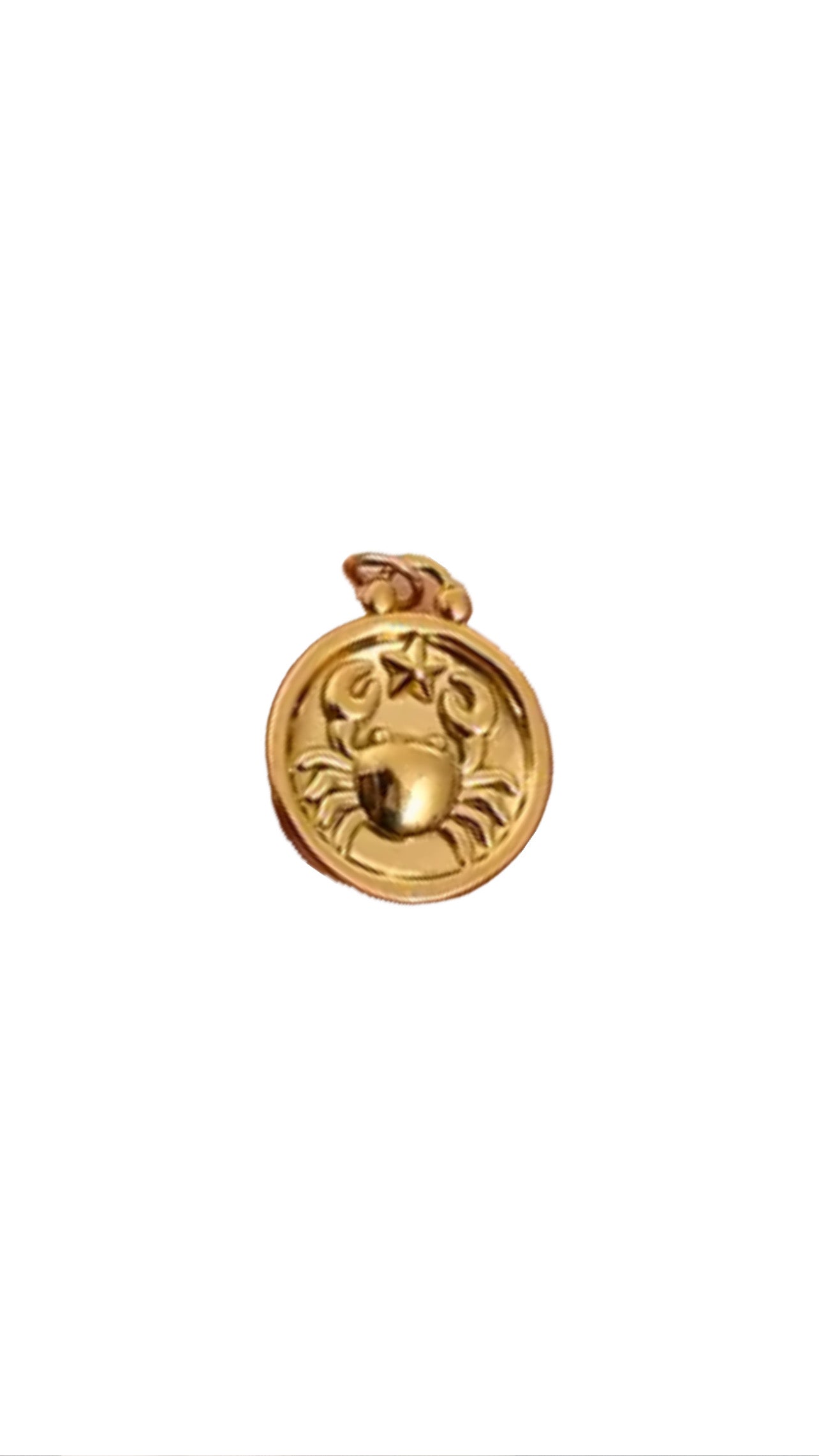 Zodiac Charm