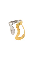Dual Tana Ring