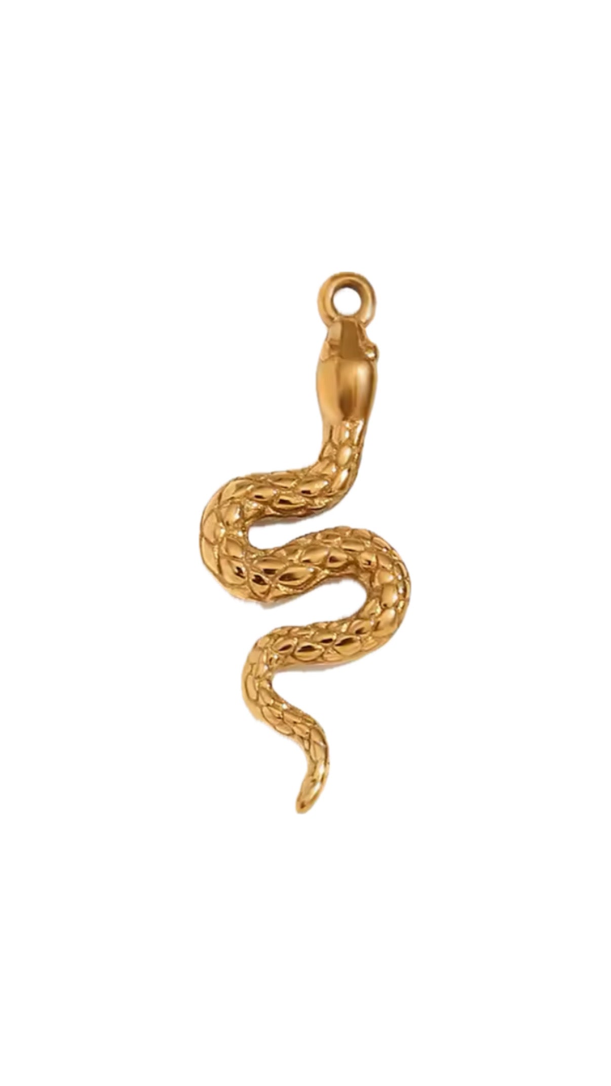 Snake Charm